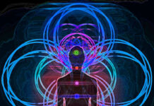 Disinterestedness of Kant