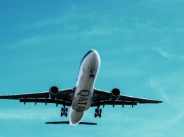 Top 10 Jobs for Travel Enthusiasts – The World is Your Office