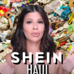 Influencers need to stop Fast Fashion Hauls – No Kill Mag