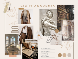 Philosopher and their criticisms for Aesthetics