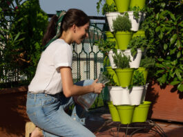 Urban Gardening: Cultivating Green Spaces in Cities