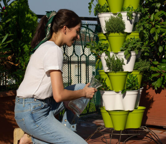 Urban Gardening: Cultivating Green Spaces in Cities