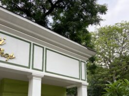 Challenges to aesthetics