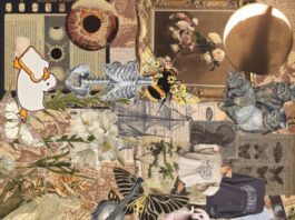 Are we really free- a treatise on freedom & human potential