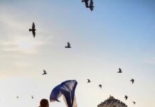 Why should you worship?