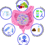 Strategies-to-modify-gut-microbiota-for-disease-treatment
