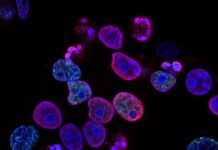 Gene Editing and its Promising Benefits