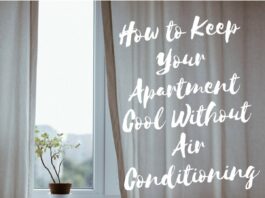 Indoor Comfort: Chilling Your Apartment without AC