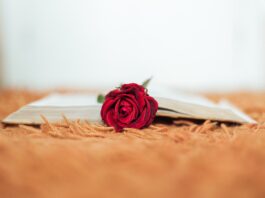 Sher-o-Shayari in DU: How is the idea?