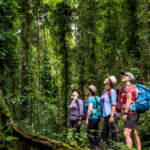 2022_Jan_ParkTours_GuidedHiking_LG_WEB-12543861-384×576