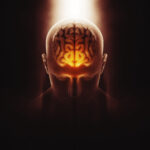 3D medical image of male figure with brain
