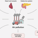 Adverse-effects-of-air-pollution-on-human-health