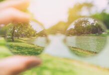 The Effect of Nature on Eye Health