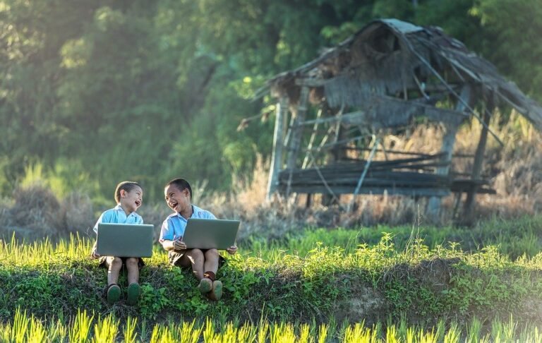 How to Use Nature to Enhance Concentration and Productivity